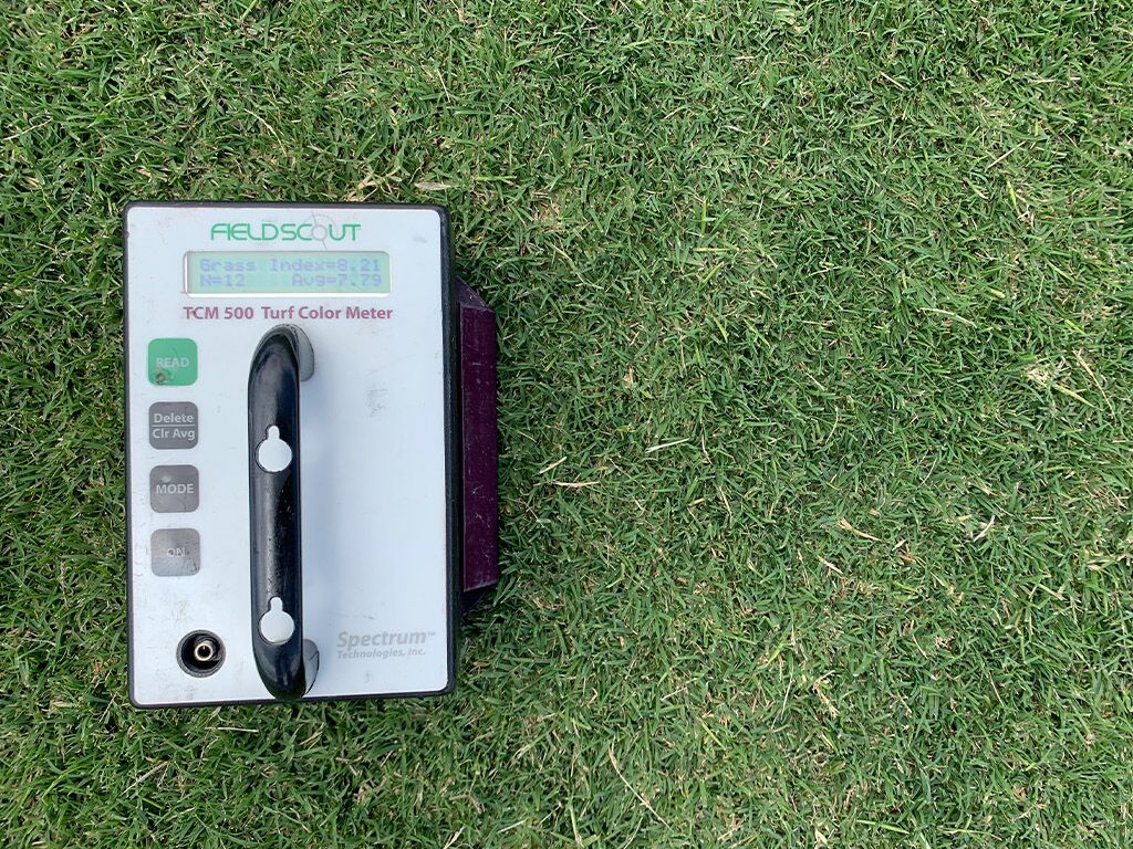 Turf colour